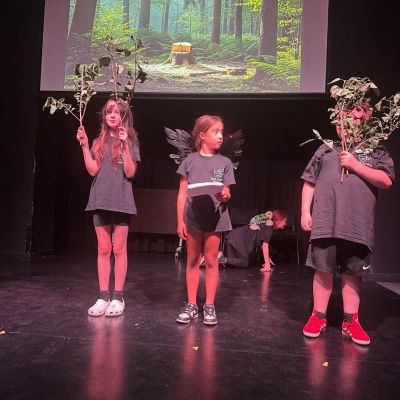 Drama for Wellbeing performers holding branches on stage