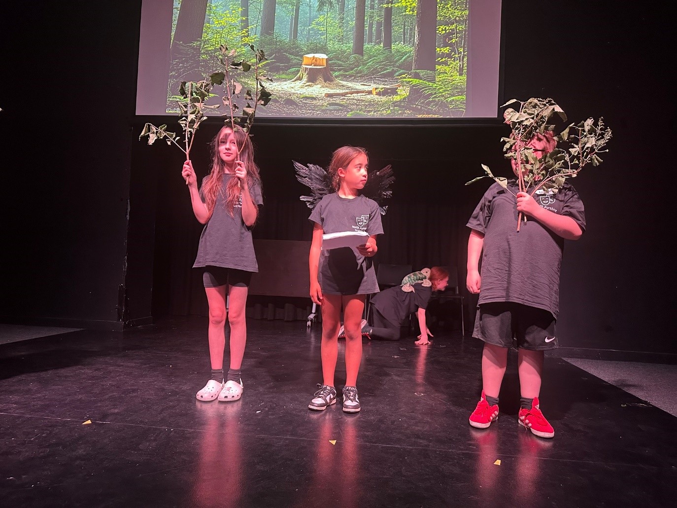 Drama for Wellbeing performers holding branches on stage