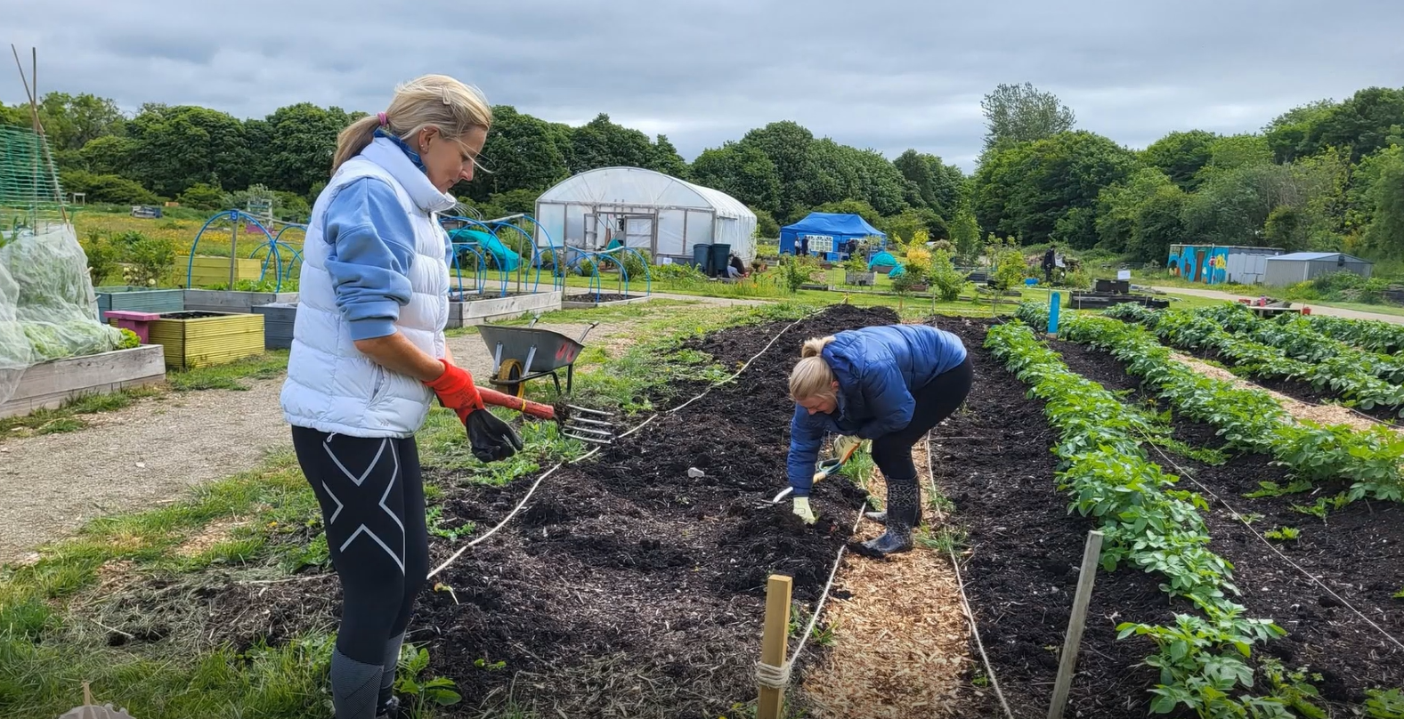 Two people tend to plants in a park