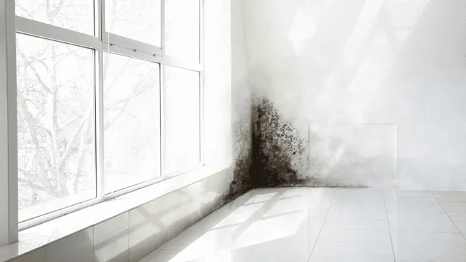An empty room with mould appearing in a corner